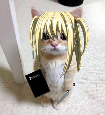 Misa misa